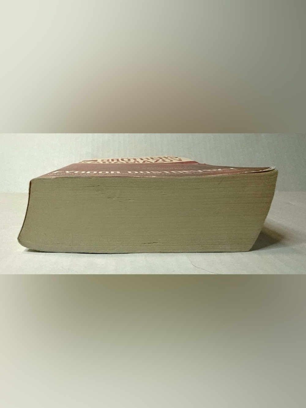 The Brothers Karamazov Paperback Book by Fyodor Dostoevsky - Picture 10 of 10